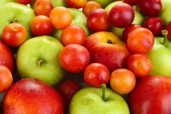 Juicy fruits background — Stock Photo, Image