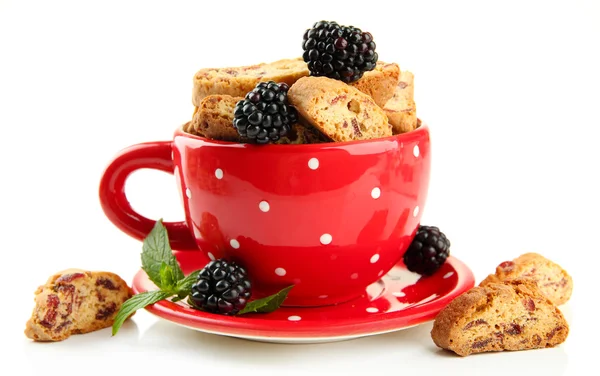 Lekkere koekjes met blackberry in cup geïsoleerd op wit — Stockfoto