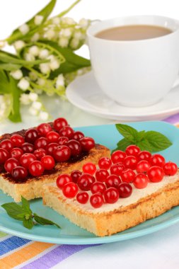 cranberries plaka yakın çekim üzerinde lezzetli ekmek