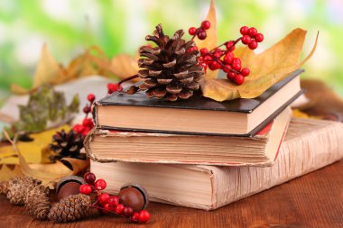 kitap ve sonbahar yaprakları üzerinde ahşap tablo