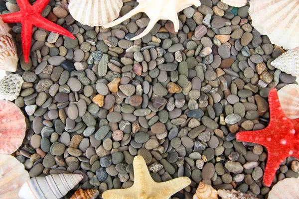 Pequenas pedras marinhas e conchas, de perto — Fotografia de Stock