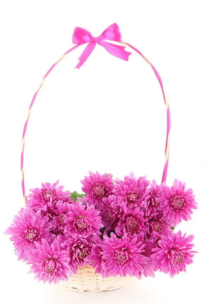 Ramo de crisantemo de otoño rosa en cesta aislada en blanco — Foto de Stock