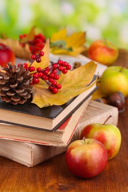kitap ve sonbahar yaprakları doğal zemin üzerine ahşap tablo