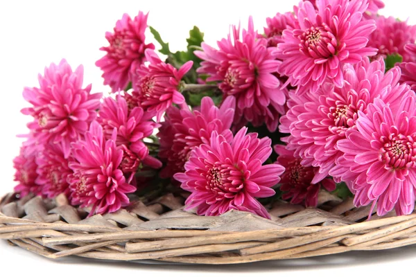 Strauß rosa Herbst Chrysanthemen isoliert auf weiß — Stockfoto