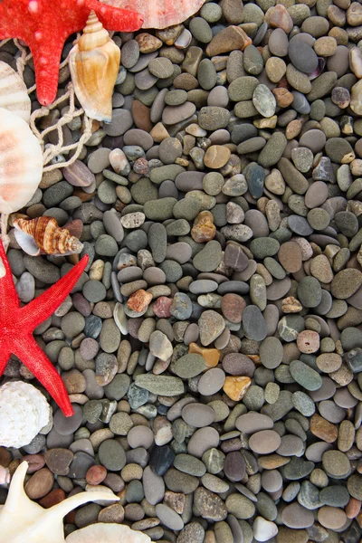 Small sea stones and shells, close up — Stock Photo, Image