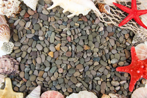 Pequeñas piedras y conchas marinas, de cerca —  Fotos de Stock
