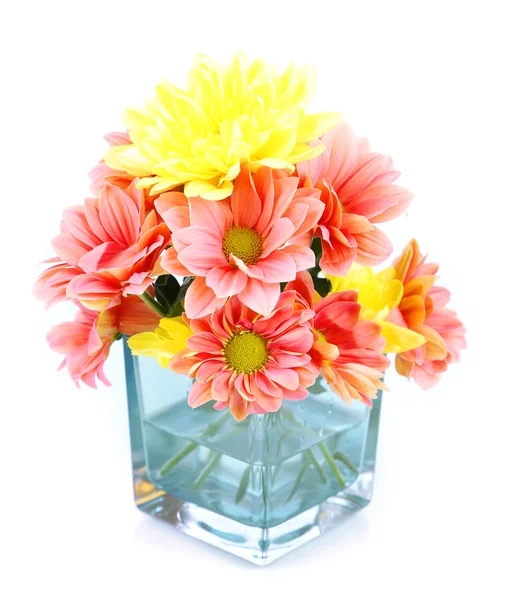 Chrysanthemum flowers in vase isolated on white — Stock Photo, Image