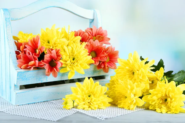Krásné květiny v košíku, na světlé pozadí — Stock fotografie