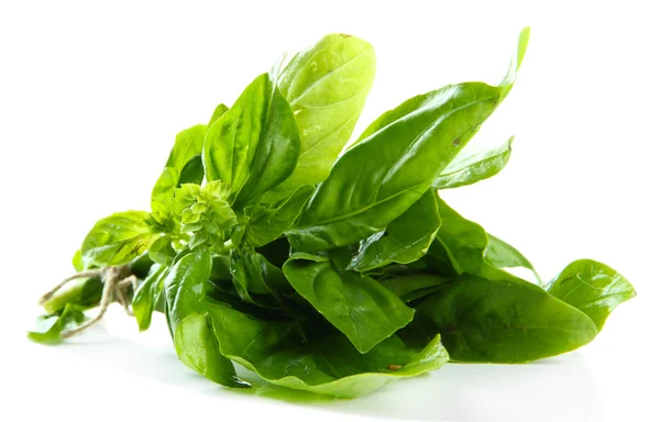 Fresh basil, isolated on white — Stock Photo, Image