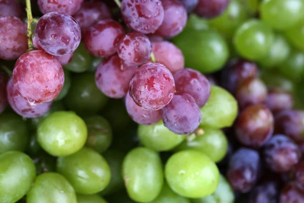 Uvas verdes maduras e roxas fundo close-up — Fotografia de Stock