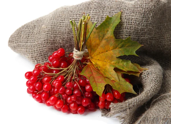 Red berries of viburnum on sackcloth napkin, isolated on white — Stock Photo, Image