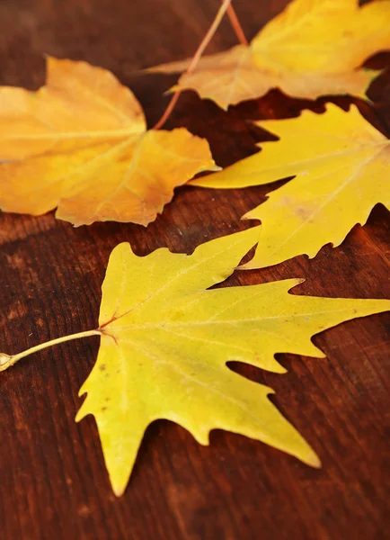 Mooie herfst bladeren op houten achtergrond — Stockfoto