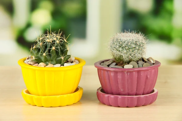 Cactuses in flowerpots with funny eyes, on wooden windowsill — Stock Photo, Image
