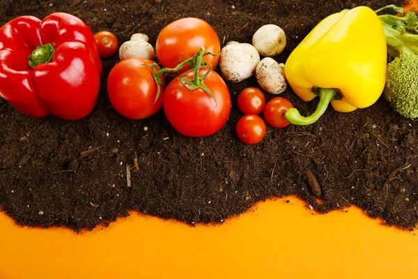 Vegetables on ground on color background — Stock Photo, Image