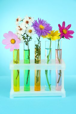 test tüpleri üzerine açık mavi renkli çiçekler