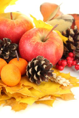 beyaz izole güzel sonbahar kompozisyon