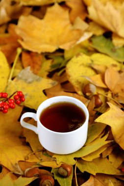 Sarı yaprak zemin üzerine sıcak içecek bir fincan