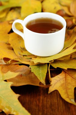 ahşap zemin üzerine sarı yapraklar üzerinde sıcak içecek bir fincan