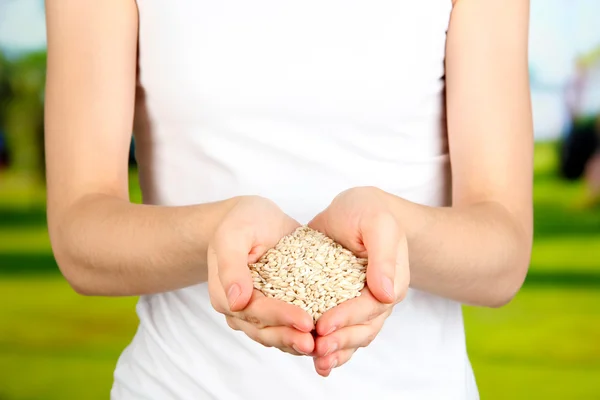 Wheat grain in female hands — Stock Photo, Image