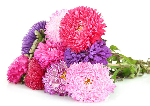 Яркие пасхальные цветы, изолированные на белом
