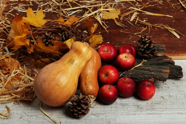 Pumpkins and apples with bark on wooden background — Stock fotografie