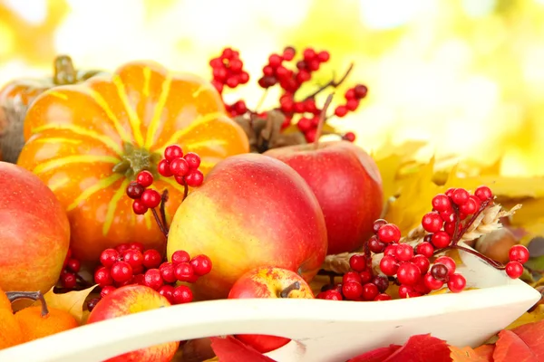 Bella composizione autunnale, sullo sfondo della natura — Foto Stock