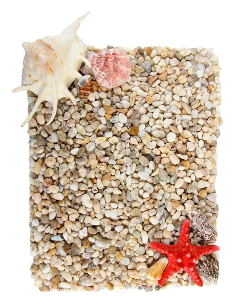 Pequenas pedras marinhas e conchas — Fotografia de Stock