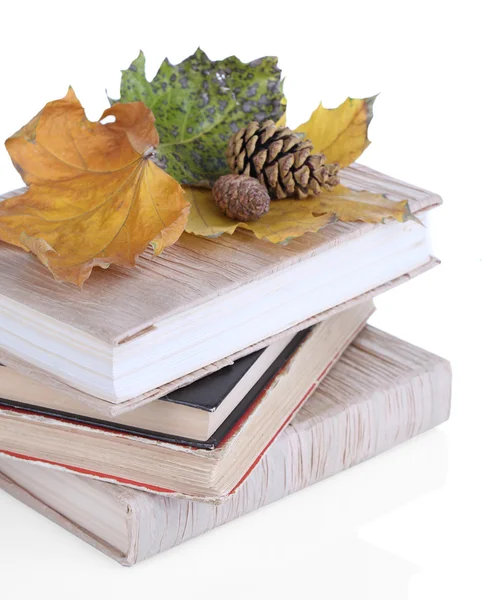 Books and autumn leaves isolated on white — Stock Photo, Image