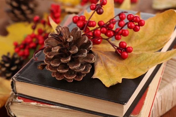 Könyvek és ősszel elhagyja a fából készült asztal közelről — Stock Fotó