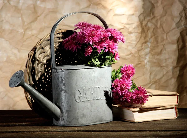 Bouquet de chrysanthème rose en arrosoir sur table en bois — Photo