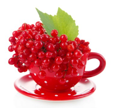 Kartopu Kupası, üzerinde beyaz izole kırmızı meyveler