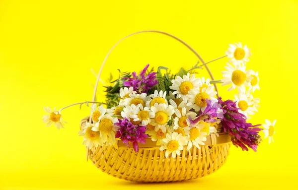 Piękne dzikie kwiaty w koszyku, na żółtym tle — Zdjęcie stockowe