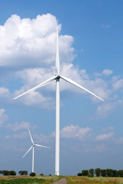 Windmills field — Stock Photo, Image