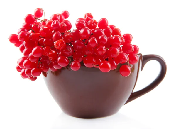 Червоні ягоди калини в чашці, ізольовані на білому — стокове фото