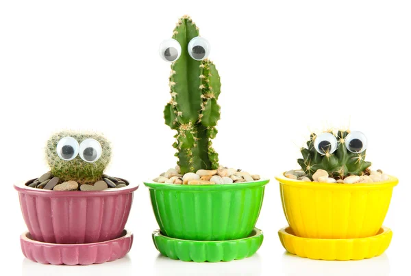 Kaktusar i blomkrukor med roliga ögon, isolerad på vit — Stockfoto
