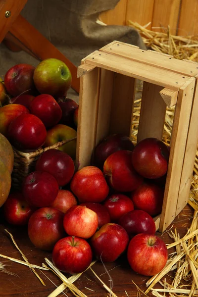 Pommes en caisse avec gros plan de paille — Photo