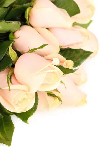 Schöner Strauß Rosen — Stockfoto