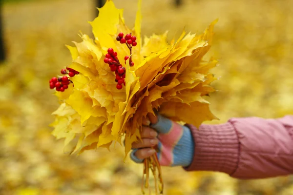 Gele bladeren in de hand — Stockfoto