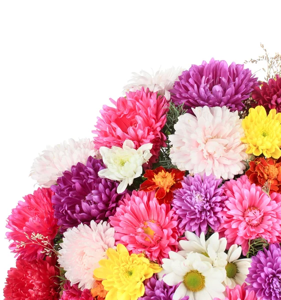 Beautiful bouquet of chrysanthemums isolated on white — Stock Photo, Image