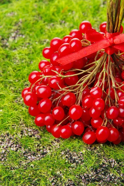 Red berries of viburnum on green grass background — Stock Photo, Image
