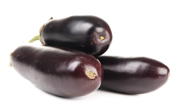 Verse aubergines geïsoleerd op wit — Stockfoto