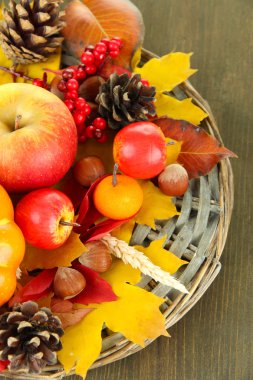 ahşap zemin üzerinde güzel sonbahar kompozisyon