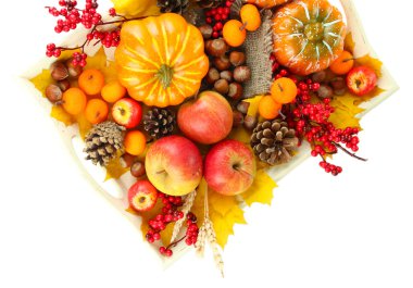 beyaz izole güzel sonbahar kompozisyon