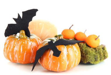 Cadılar Bayramı kompozisyon