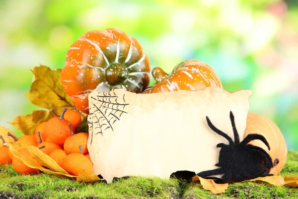 Composizione di Halloween — Foto Stock