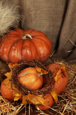 saman üzerinde çul arka plan üzerinde kabaklar