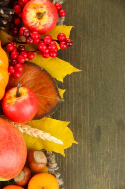 ahşap zemin üzerinde güzel sonbahar kompozisyon