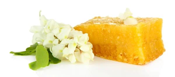 Honungskaka med blommor av akacia, isolerad på vit — Stockfoto