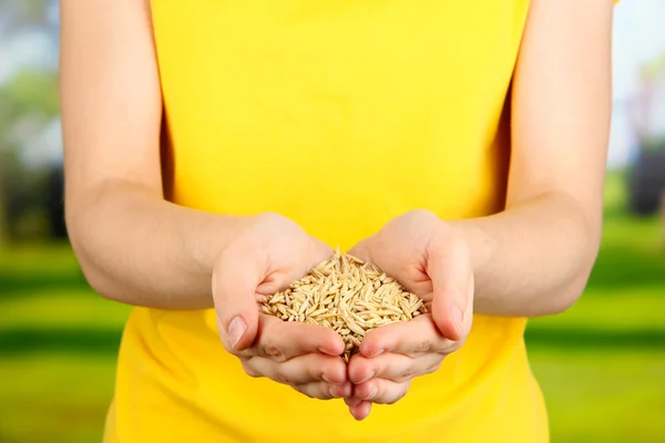 Grano de trigo en manos femeninas sobre fondo natural — Foto de Stock