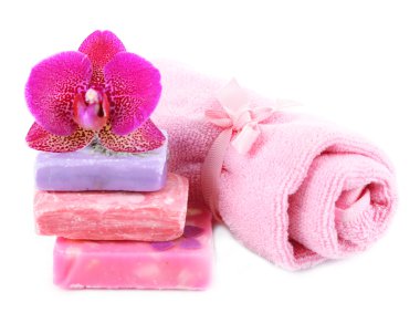 pembe ve beyaz izole orkide